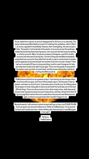 This is to #Meta, #Instagram, and #Facebook: Honestly, this experience has left a distaste in me to the people who run this app, the people who run Meta, the people who wrote the code for this app, and the people who made the AI model. If an AI cannot distinguish between an educational account and a violating one, how can any of us trust any tech coming out of any of Meta's company? How dystopian it is that people's livelihood is determined by an emotionless and frankly bad AI? This post might g