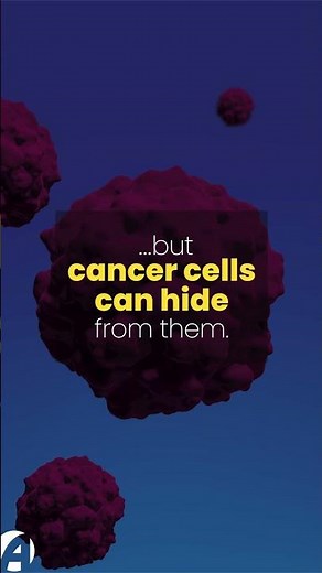 Attacking cancer with Amgen's BiTE® technology