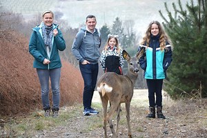 Ein Rehkitz namens Maja: Wie die Familie Kohl aus Großwilfersdorf auf das Reh kam...