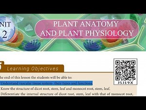 10th Science unit 12 PLANT ANATOMY AND PLANT PHYSIOLOGY Vascular tissue system types,Functions