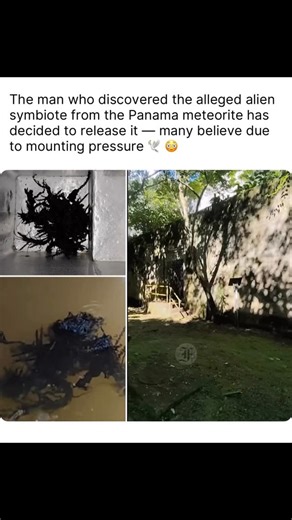 MexicanWorldStarFoo | The man who discovered the alleged alien symbiote from the Panama meteorite has decided to release it — many believe due to mounting... | Instagram