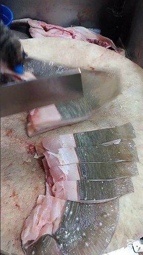 Stingray Fish Cutting | Expert Slicing & Cleaning Techniques