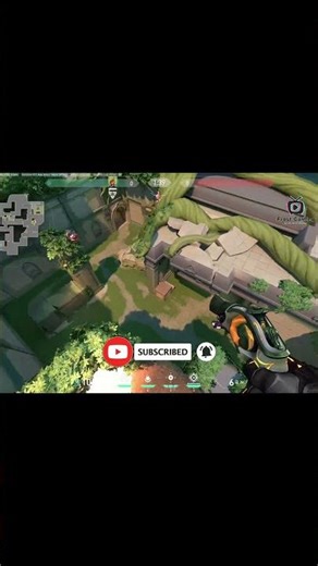 Brim Sunset A molly Lineup