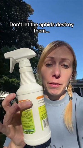Neem oil spray is a great way to get rid of aphids in your vegetable garden! #dealsforyoudays
