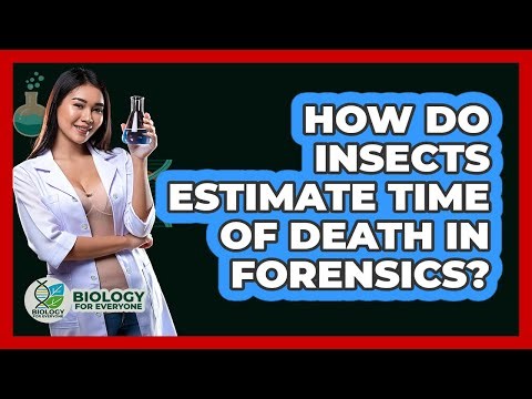 How Do Insects Estimate Time Of Death In Forensics? - Biology For Everyone