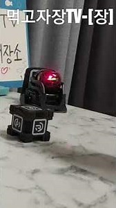 안키 벡터 로봇 | 벡터 레이저 포인터에 어떻게 반응 할까? | Anki Vector Robot