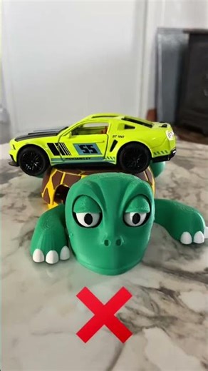 turtle's eyes open when weight is applied👈🏻. #fypシ #viralvideo #challenge