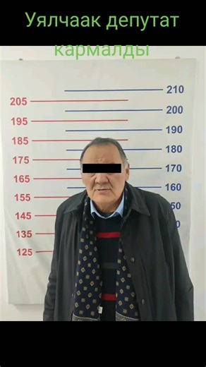 Understanding Height Charts Used in Mugshots