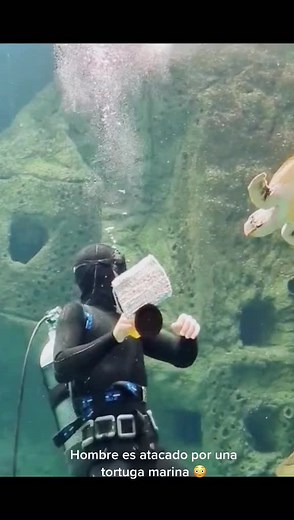 Cuentas recomendadas