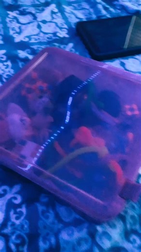 Alligator game🐊 (@.alligator_game)’s videos with original sound - Alligator game🐊