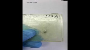 Self-Repairing Material Could Prevent Spaceship Catastrophes