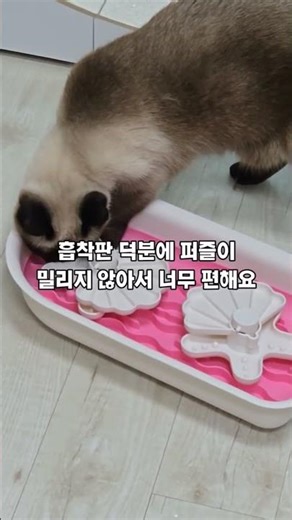 놀면서 간식 먹으니까 더 행복하다옹 😻