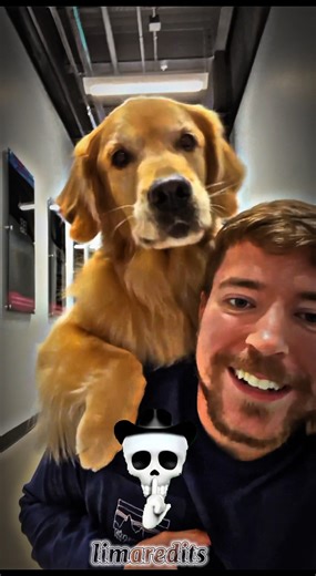 Power of Transformations💀☠️