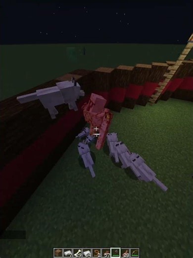 watch out watch out🤣🤣 #minecraft