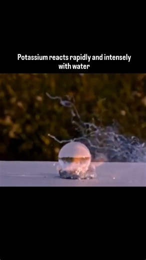 Science Explained on Instagram: "Potassium reacts rapidly and violently with water because it easily loses its outer electron. The reaction releases hydrogen gas and heat, often igniting the hydrogen and producing a flame. This is why alkali metals are stored away from moisture. #potassium #alkalimetals #chemistryreaction #waterreaction #scienceexplained #chemicalenergy #reactivity #chemistryreels #labscience"