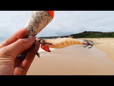 Beach Fishing Method Catches Big Squid!!