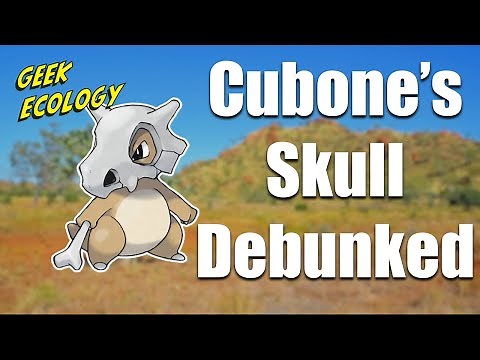 Cubone's Skull Debunked