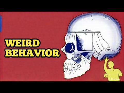 The Weirdest Human Instincts Ever Discovered