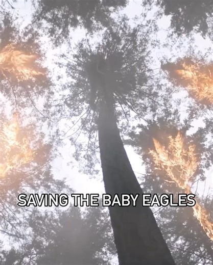 CBS Studios on Reels