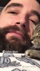 Cat Bites Can Kill—5 Reasons You Shouldn’t Ignore Them