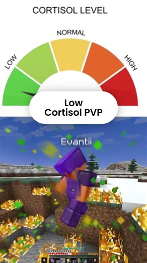 High cortisol PVP vs Low cortisol PVP#minecraft #minecraftshorts