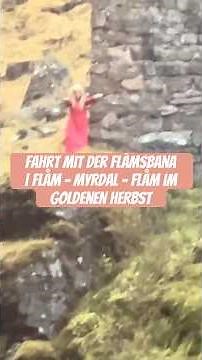 Fahrt mit der Flåmsbana | Flåm - Myrdal - Flåm im goldenen Herbst