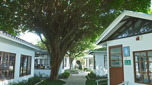 98K views · 90 reactions | Cada lección, proyecto y experiencia en...