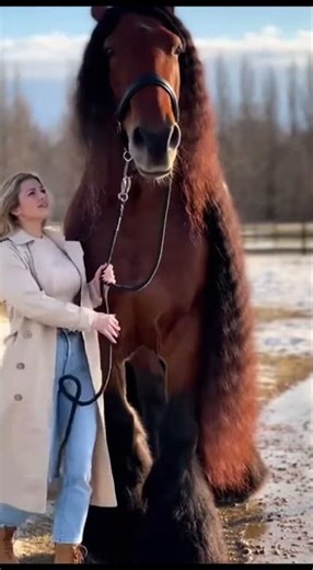Springtime stroll 🥰#animals #horse #village