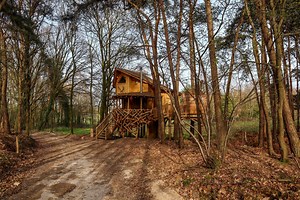 Treehouses in Belgium: 10 unique treehouses to stay - The Orange Backpack