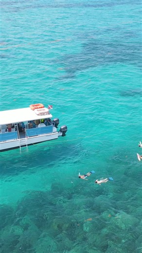 Happy World Oceans Day! 🌊 Let's take a moment to appreciate the beauty of our oceans and the incredible marine life they support. As we celebrate, let's also commit to protecting these precious ecosystems for future generations 🐠 | Hawks Cay Resort