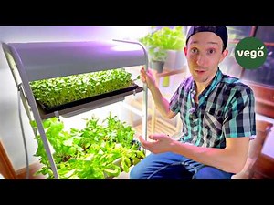 36 Days, 9 Crops, One Vego Garden 2-Tier Indoor Growing Rack!