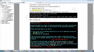 Redis实战全套视频教程