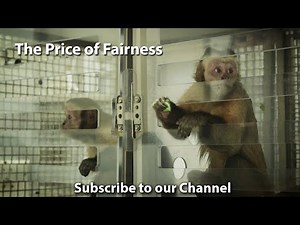 The Price of Fairness - What is Fairness and Equality? (documentary)