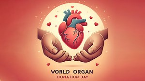 World Organ Donation Day 2024: Expert Explains Step-by-Step Guide to Kidney Donation