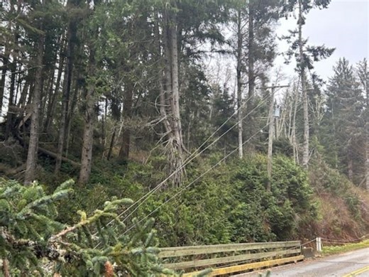 Power restorations continue after powerful bomb cyclone batters B.C. - The Weather Network