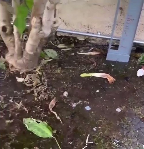 Ground Rod Installation Gone Wrong #electrical #fail #safety