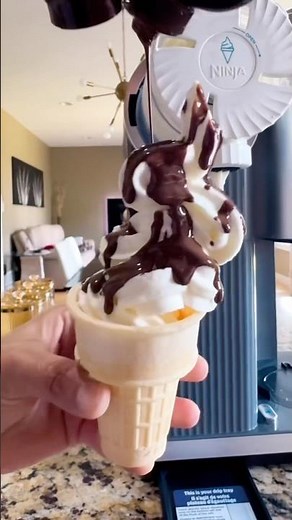 Homemade Swirl Ice Cream With Just 3 Ingredients- Ninja Swirl Creami!