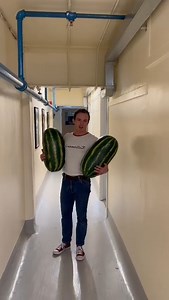 Bradford local Danny Colligan is looking forward to carrying some watermelons at The Alhambra Theatre #bradford NEXT WEEK (10-14 Oct)! 🍉 Tickets still available https://www.bradford-theatres.co.uk/whats-on/dirty-dancing-292147 | Bradford Theatres