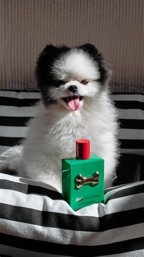 Mornings at The Mark smell as good as they look — breakfast in bed and a fresh spritz of The Mark x Fefé by Dolce & Gabbana, before a stroll down Madison Avenue 🐾 | The Mark Hotel