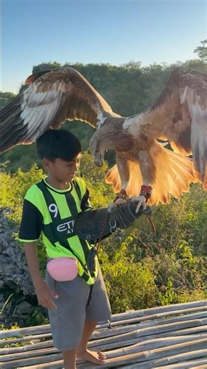 little tarzan calls his big eagle friend to come home
