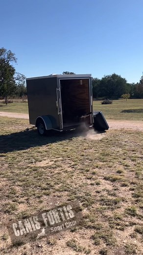 1K views | #gsd #germanshepherd #germanshepherddog #czechshepherd #workingdog #bitework #protectiondogtraining | Dog Training is my Passion | Facebook