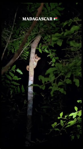 📍Madagascar🇲🇬 📷: rever_mada