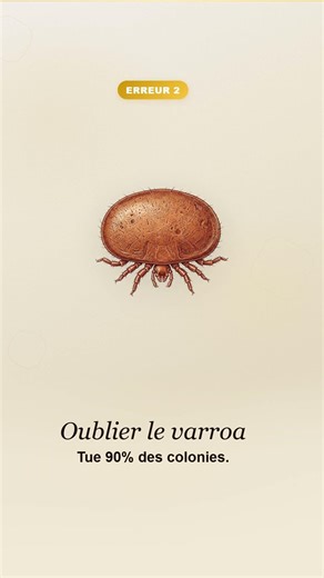 🔢 3 erreurs de debutant fatales