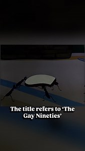 For some weird reason director Friz Freleng made a lot of shorts involving ants! Why? No idea! From The Gay Anties (1947) #frizfreleng #looneytunes #animation #warnerbros #classiccartoons #animationreview #retro #cartoonnetwork #classicanimation #historynerd #vintagecartoons | Anthony's Animation Talk