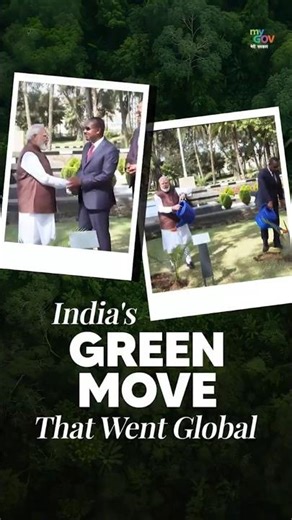 India's Green Move That Went Global