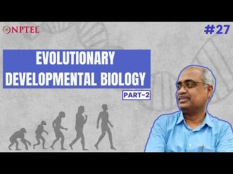 #27 Evolutionary Developmental Biology | Part 2 | Introduction to Developmental Biology
