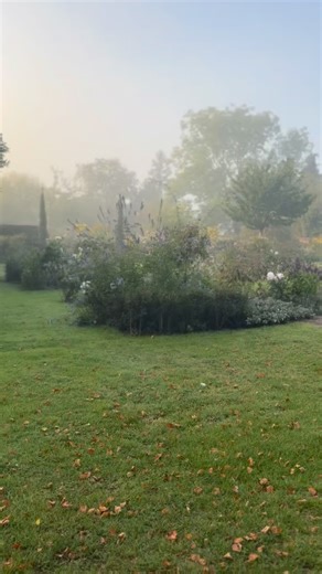 Longing for the winter to lift so we can enjoy the new season with the garden full of color and flowers. #myfrenchcountryhome #mygardentoday | My French Country Home