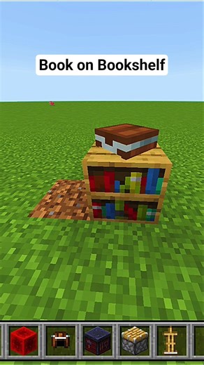 Book on Bookshelf hack in minecraft #minecraft #shorts