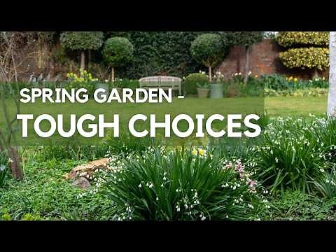Spring Garden Tips & Tour + whether to pull out the best plant in the garden!