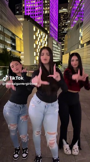 Joyy Mei and Alina Rose Leaks Explained